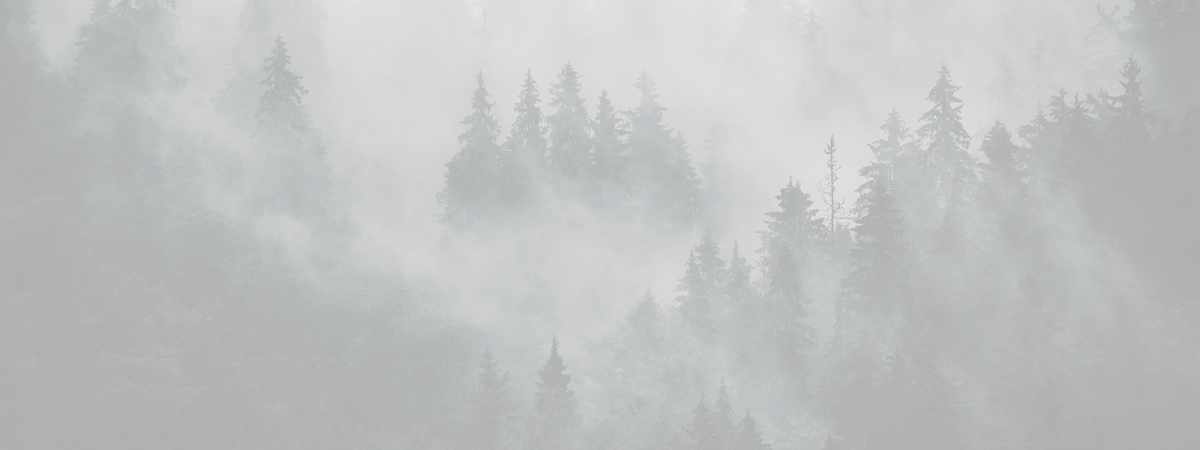 Filtre moto