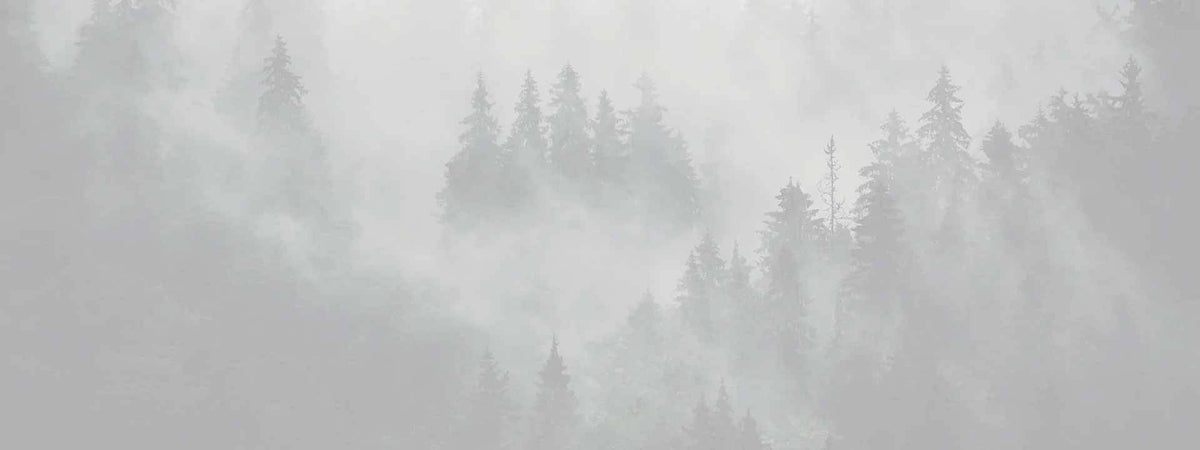JT Racing USA