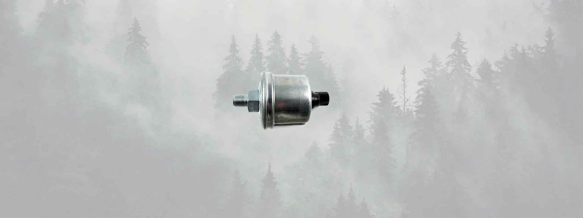 Collection de capteurs et sondes pour moto chez Blackpines.