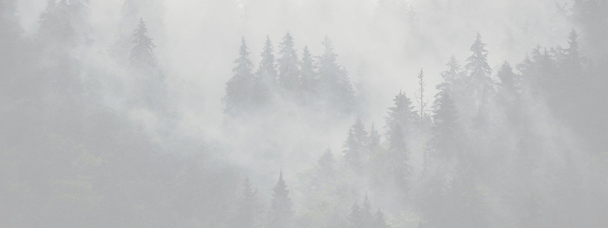 Outillages-blackpines.fr