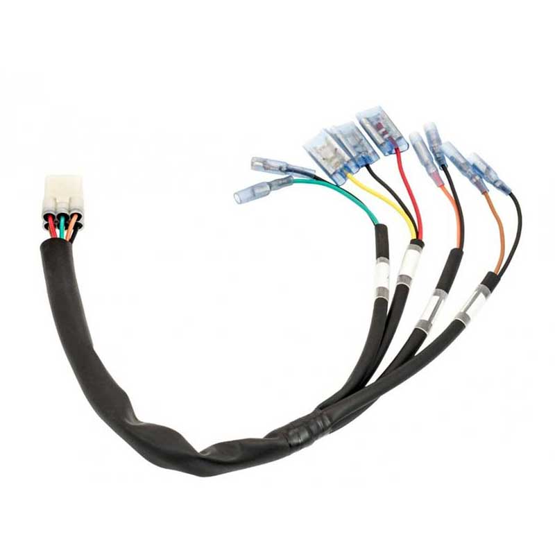 Adaptateur faisceau cablage multi Motone pour Triumph LC. Blackpines.fr