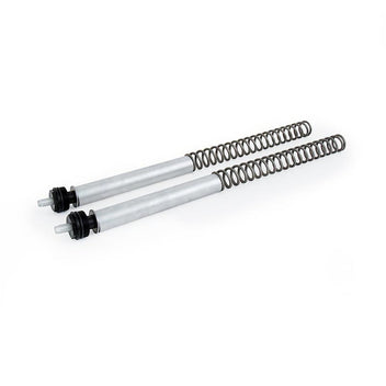 kit ressorts de fourche FSK145 Ohlins. Blackpines.fr
