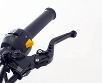 Leviers frein et embrayage Hedgehog pour Royal Enfield. Blackpines.fr